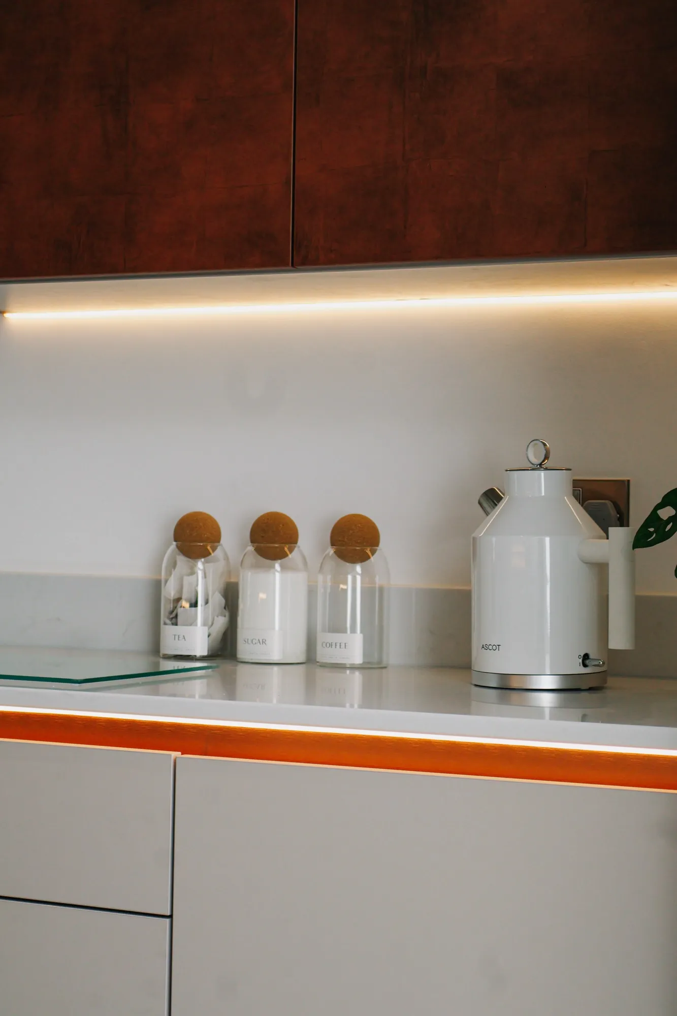 Rear Extension & Open-Plan Kitchen — image 9